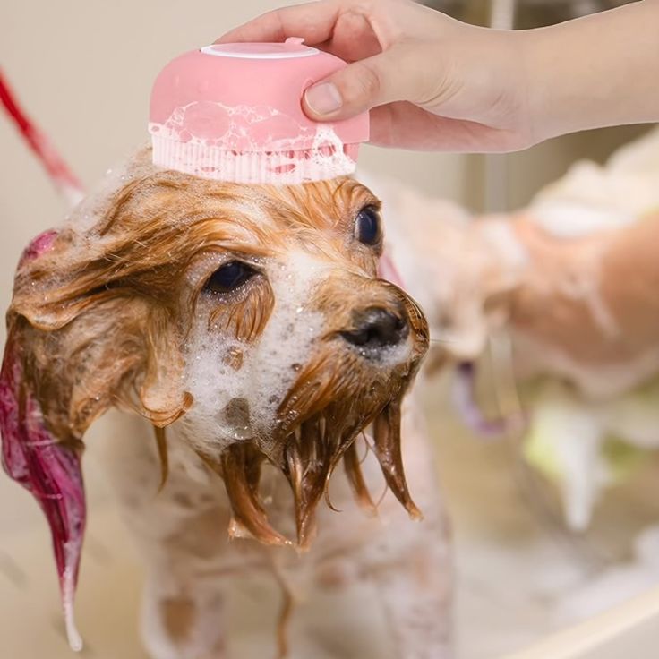 Brosse à shampooing pour animaux de compagnie PawsScrub