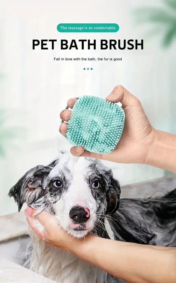 Brosse à shampooing pour animaux de compagnie PawsScrub