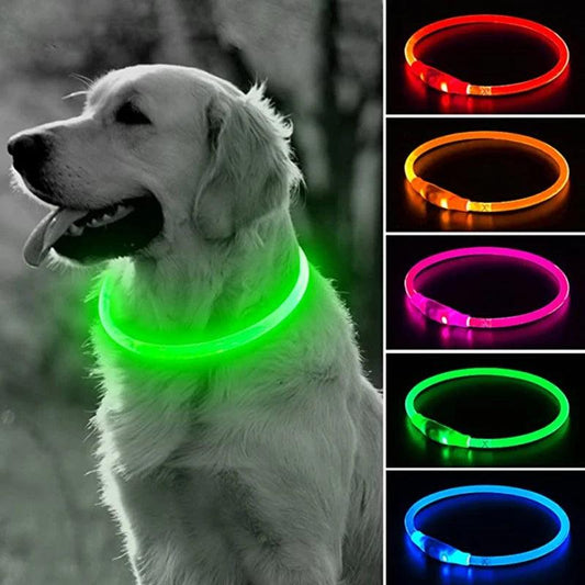 GlowGuard LED Pet Collar