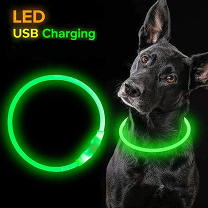 GlowGuard LED Pet Collar