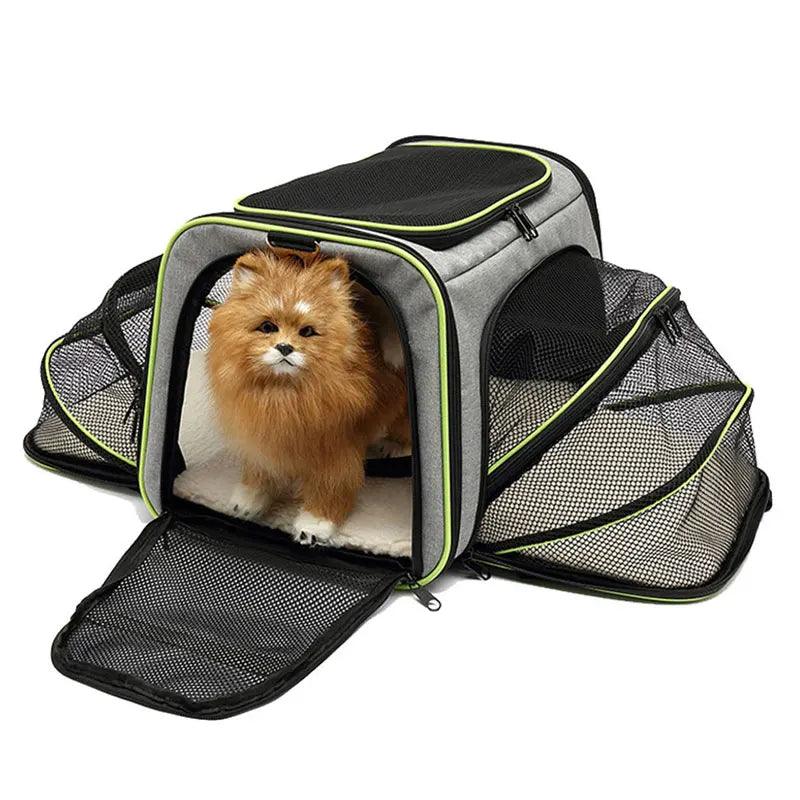 Sac respiratoire pour animaux de compagnie – Transport dobrável et pratique pour chiens et chats