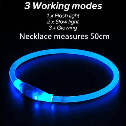 GlowGuard LED Pet Collar