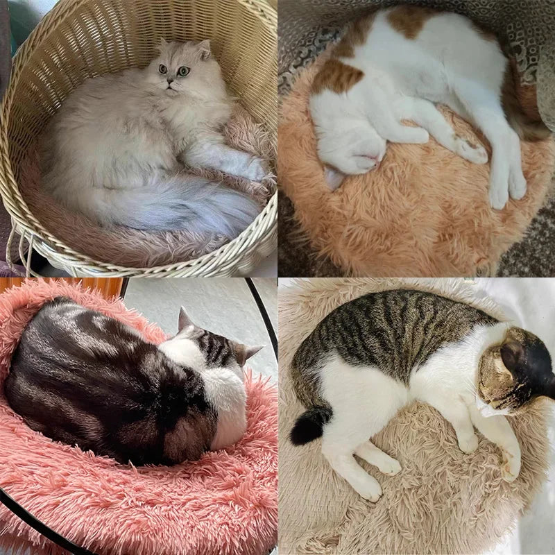 Nido de peluche para gatos y perros: comodidad y suavidad - ENVÍO GRATIS 