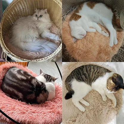 Nido de peluche para gatos y perros: comodidad y suavidad - ENVÍO GRATIS 