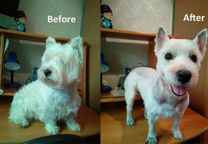 Dog Groomer Pro : Tosador Profissional Sem Fio para Pets - FRETE GRATIS