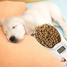 Báscula digital para medir alimentos para mascotas Pet Pro