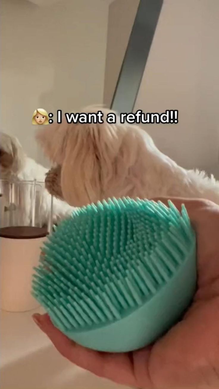 Brosse à shampooing pour animaux de compagnie PawsScrub