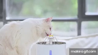 Fuente automática PetClear: agua fresca y pura para tu mascota 