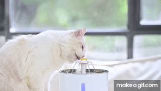 Fuente automática PetClear: agua fresca y pura para tu mascota 